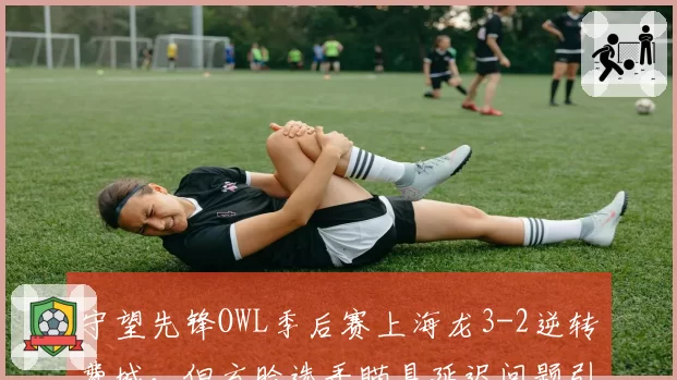守望先锋OWL季后赛上海龙3-2逆转费城,但方脸选手瞄具延迟问题引争议