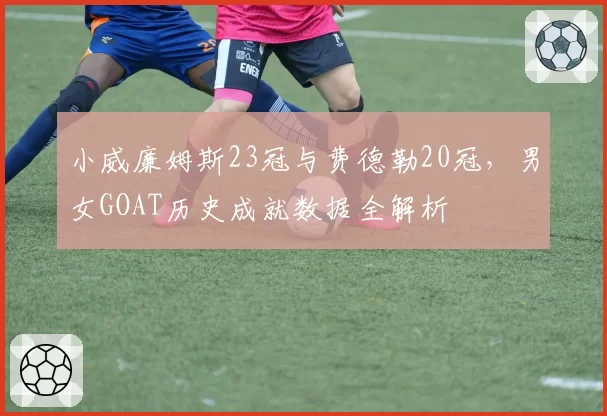 小威廉姆斯23冠与费德勒20冠，男女GOAT历史成就数据全解析